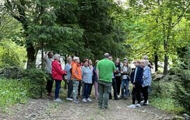 IMG_0529