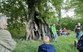IMG_0521